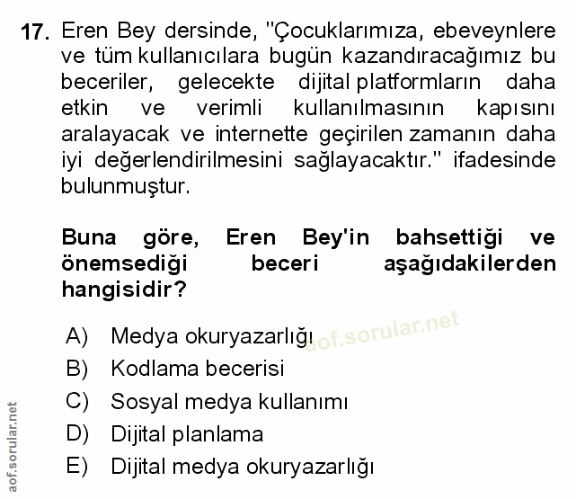 Soru 17