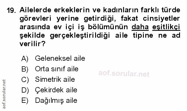 Soru 19