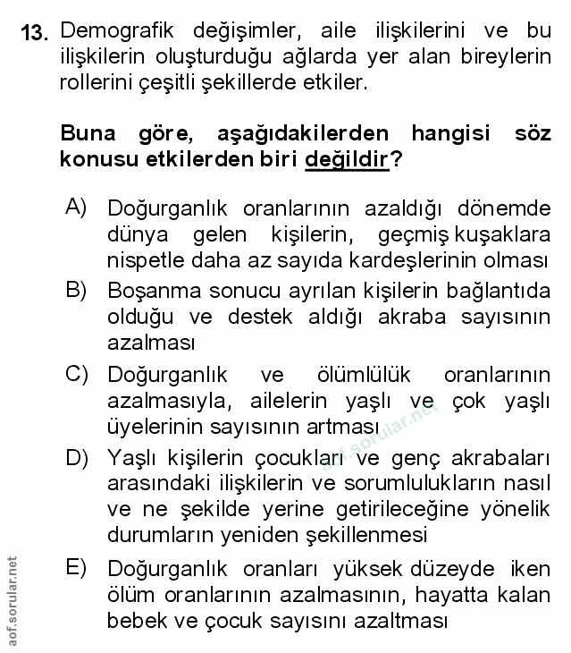Soru 13