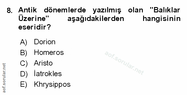 Soru 8