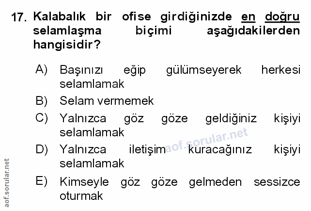 Soru 17