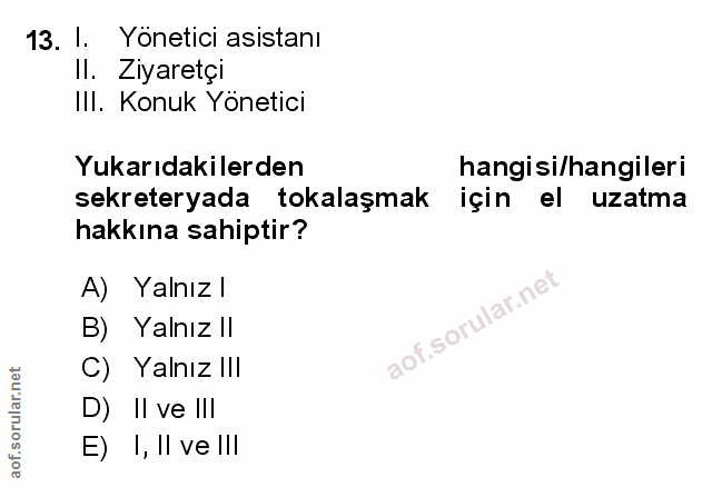 Soru 13