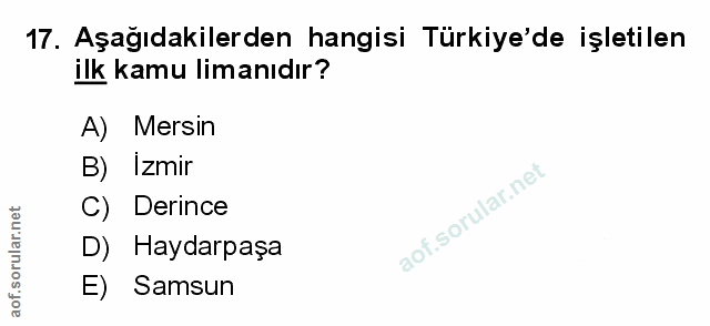 Soru 17