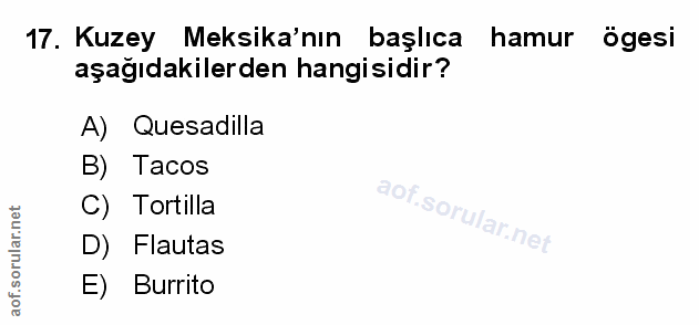 Soru 17