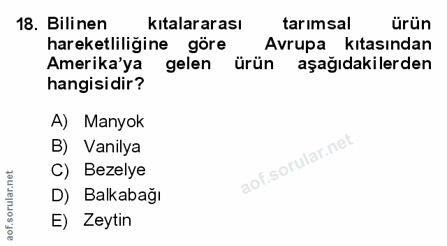 Soru 18