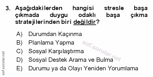 Soru 3
