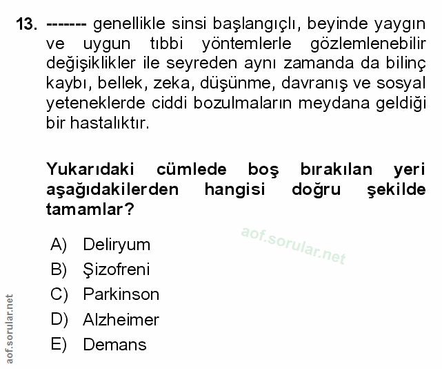 Soru 13