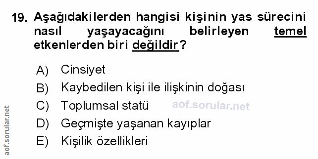 Soru 19