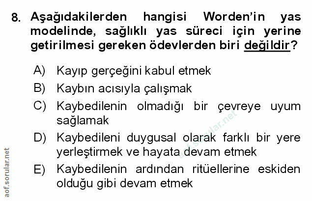 Soru 8