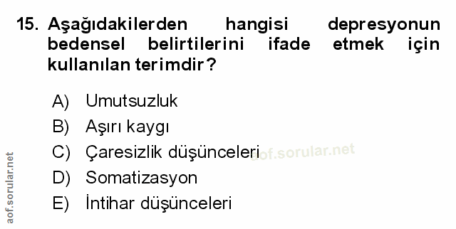 Soru 15