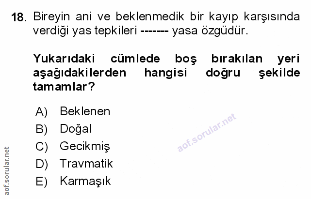 Soru 18