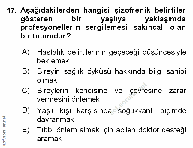 Soru 17