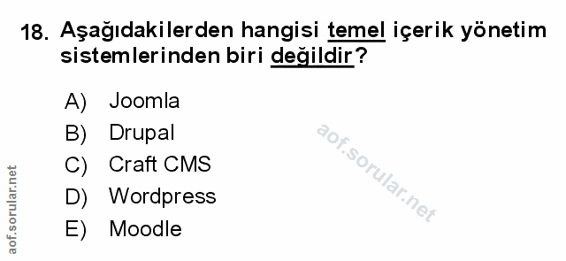 Soru 18