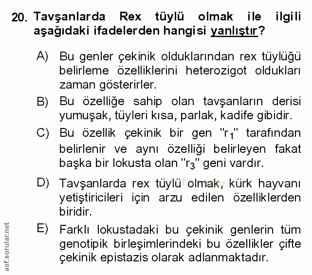 Soru 20