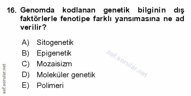 Soru 16