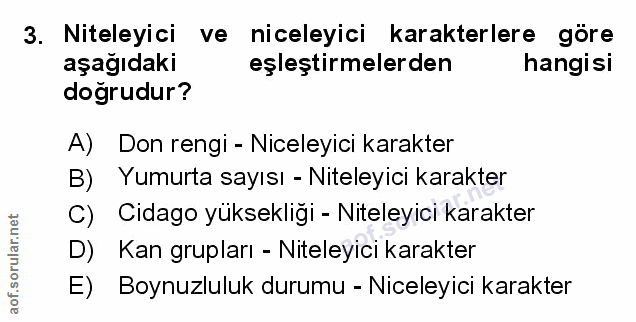 Soru 3
