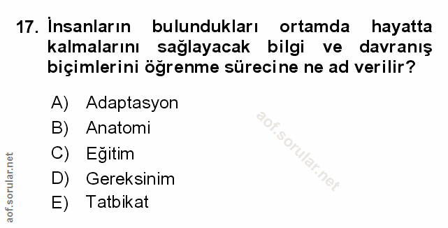 Soru 17