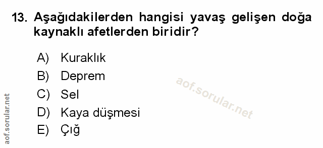 Soru 13