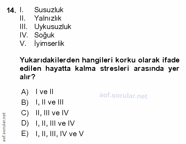 Soru 14