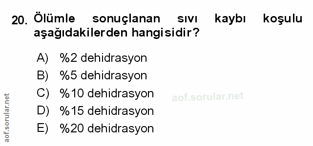 Soru 20