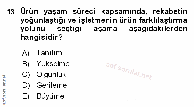 Soru 13