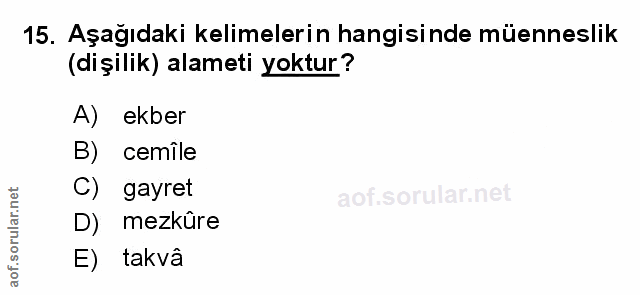 Soru 15
