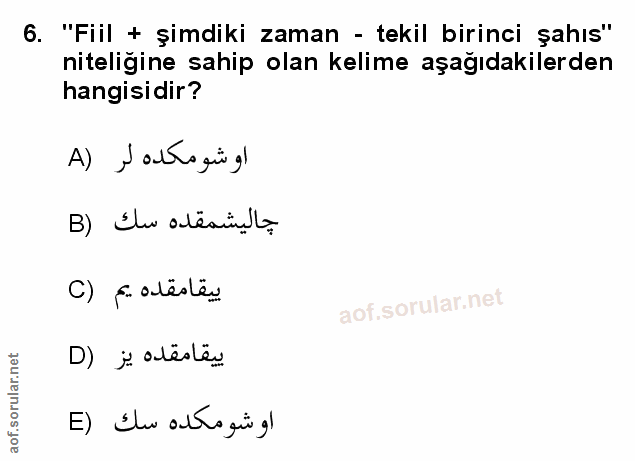 Soru 6