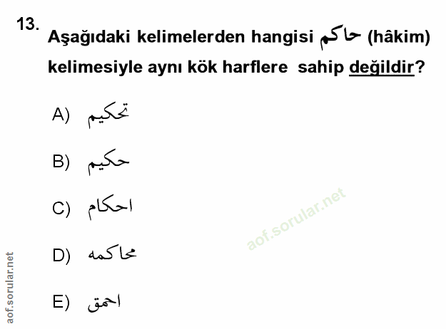 Soru 13