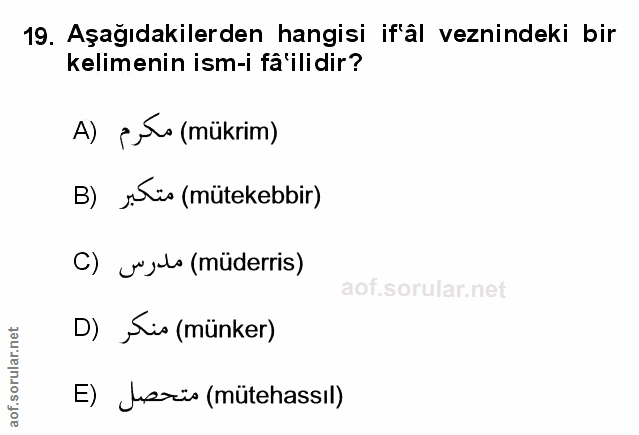 Soru 19