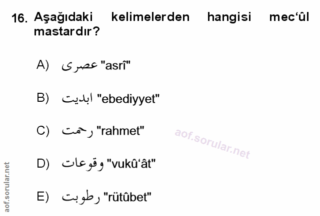 Soru 16