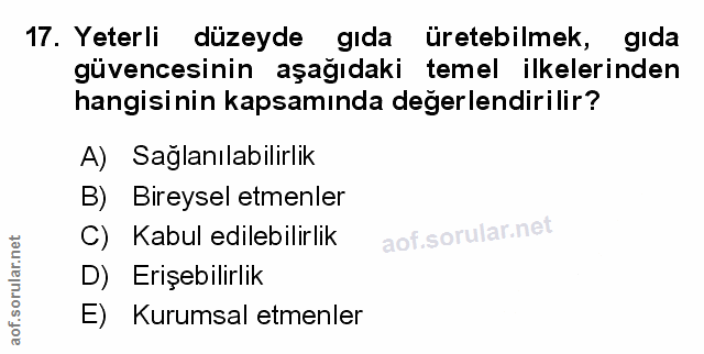 Soru 17