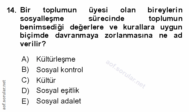 Soru 14