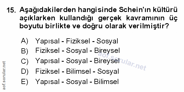 Soru 15