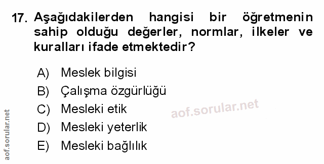 Soru 17