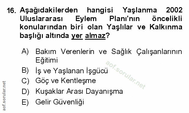 Soru 16