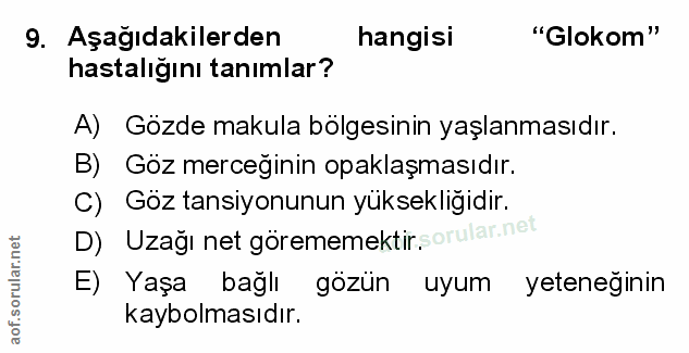 Soru 9