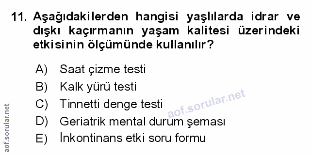 Soru 11