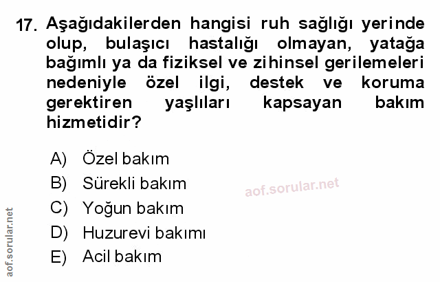 Soru 17