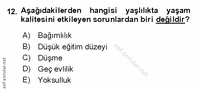 Soru 12