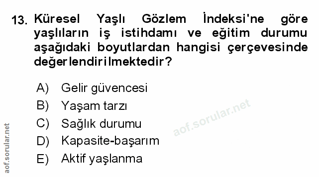 Soru 13