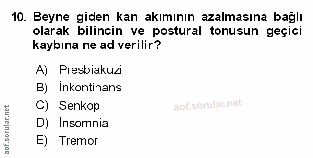 Soru 10