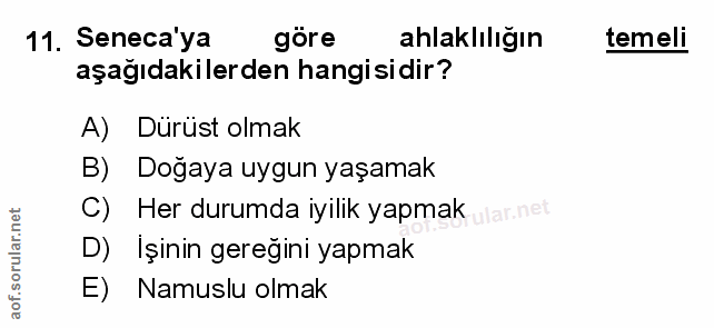 Soru 11