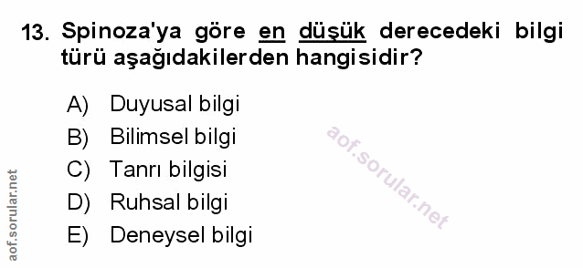 Soru 13