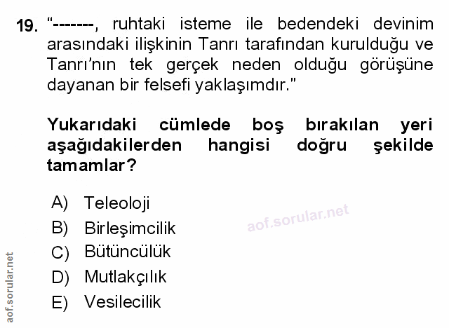 Soru 19