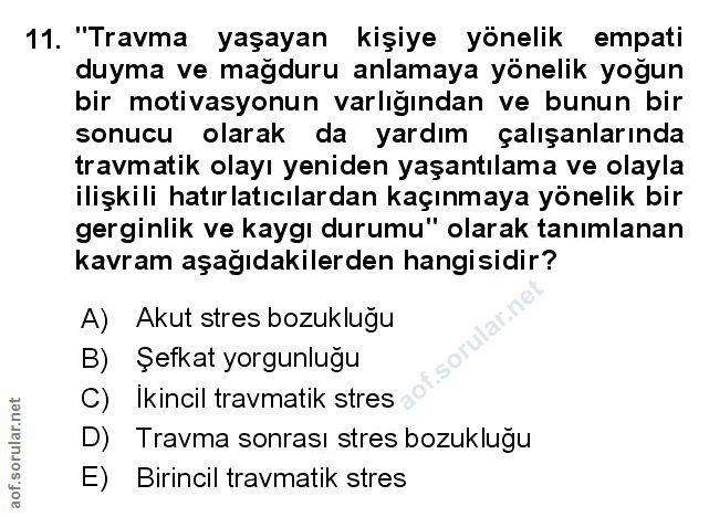 Soru 11
