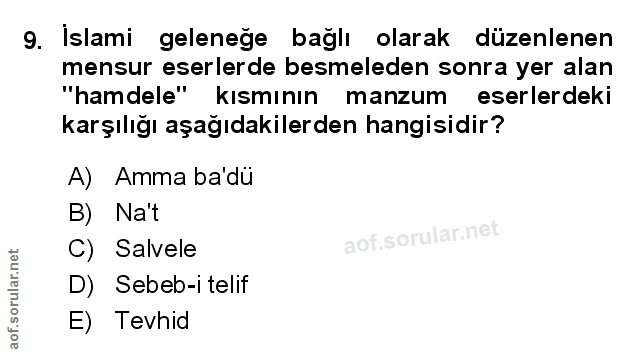 Soru 9