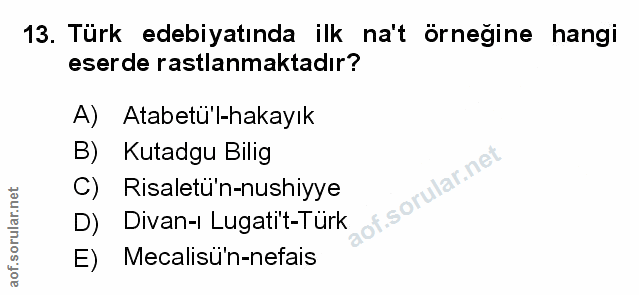 Soru 13