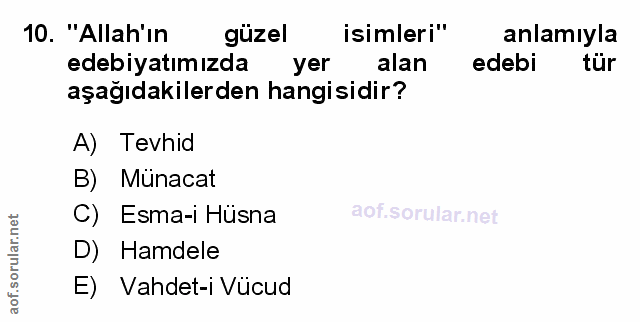 Soru 10