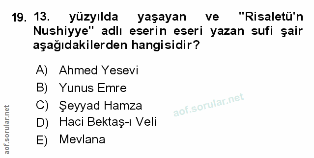 Soru 19