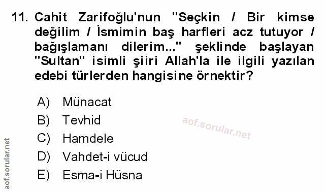 Soru 11